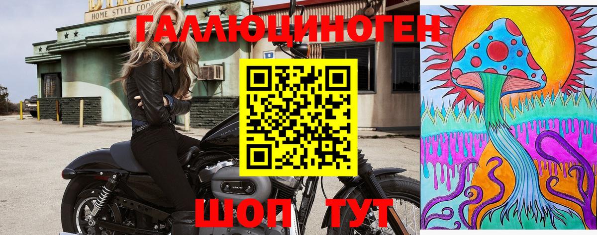 Галлюциногенные грибы GOLDEN TEACHER Удомля