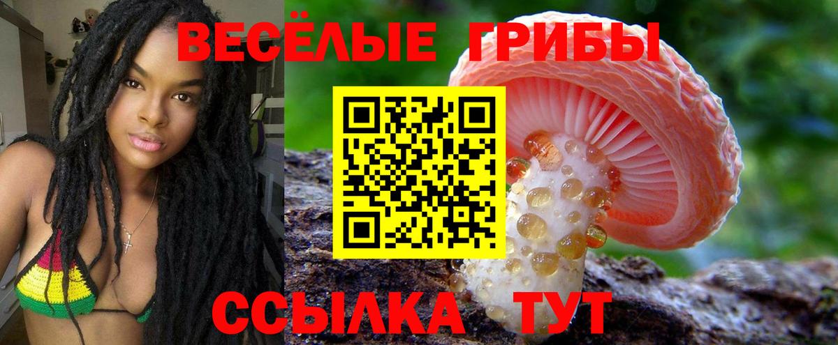 Удомля  Галлюциногенные грибы Cubensis  цена наркотик  Вход с VPN 