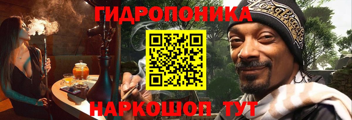 Каннабис план  Шишки марихуана Bruce Banner  Вход с VPN  Удомля  Марихуана план 